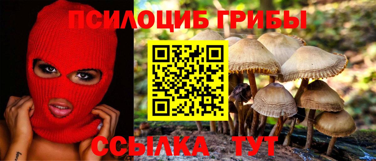 Псилоцибиновые грибы Psilocybe  Вход с VPN  Псилоцибиновые грибы Cubensis  Дубна 
